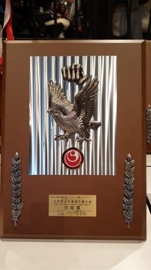 <br />
		Результаты 12-го абсолютного Чемпионата мира Шинкиокушинкай WKO<br />
	
