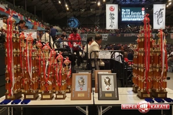 <br />
		Результаты 12-го абсолютного Чемпионата мира Шинкиокушинкай WKO<br />
	